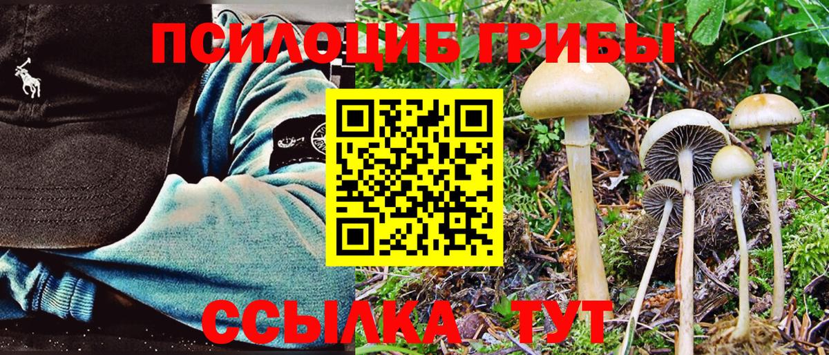 Псилоцибиновые грибы MAGIC MUSHROOMS Фрязино